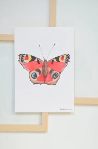 Dagpauwoog poster A5