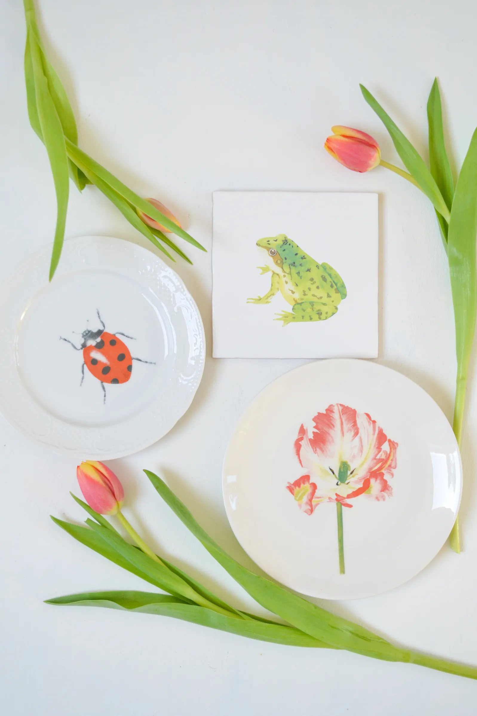 wandbordjes met tulp en lieveheersbeestje en wandtegeltje met kikkertje