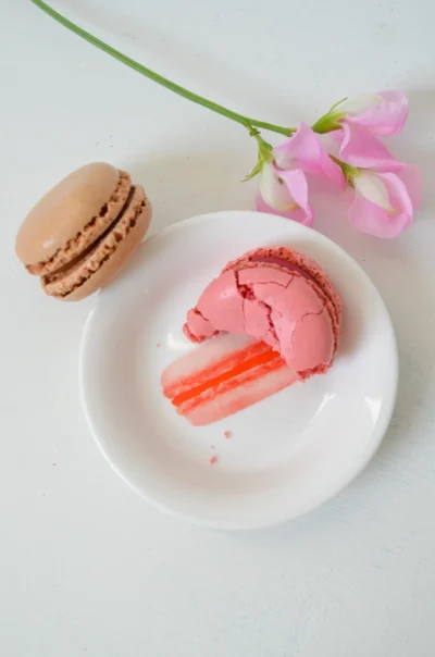 Mini schaaltje macaron - Afbeelding 3