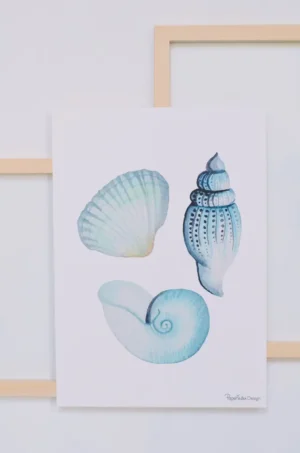 Schelpjes poster A4