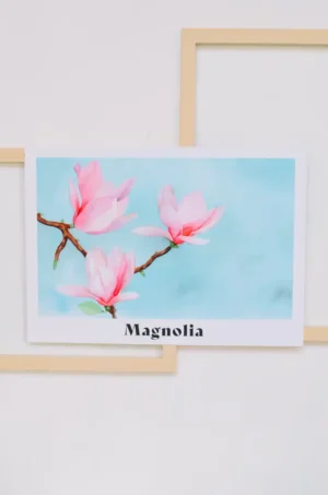 Magnolia poster A4