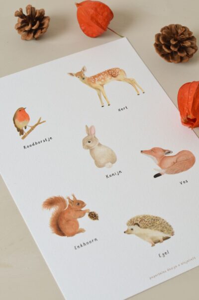 bosdieren poster met zes verschillende aquarel geschilderde bosdieren