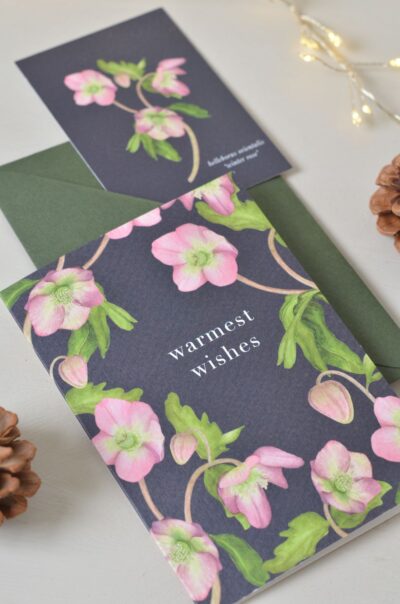 botanische kerstkaart met helleborus illustratie