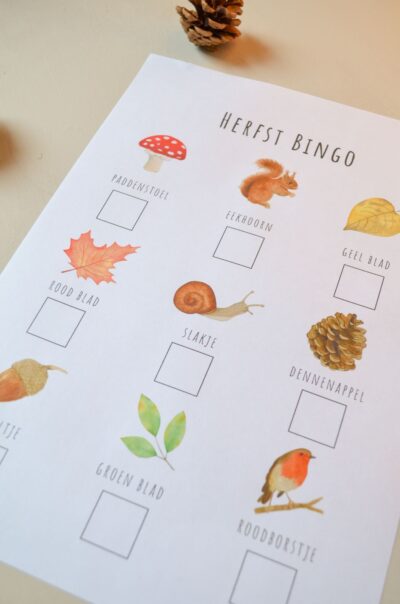 herfst bingo close-up herfst activiteit met kinderen