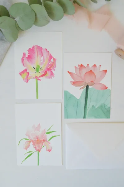 set van drie ansichtkaarten met roze bloemen, tulp, iris en lotus