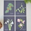 kerst minikaartjes met botanische illustraties