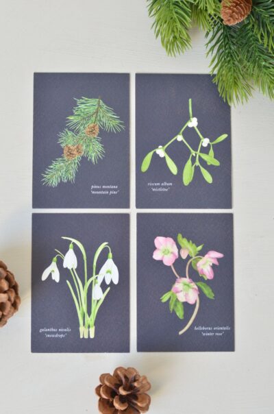 kerst minikaartjes met botanische illustraties