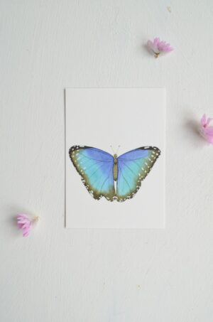 minikaartje blauwe vlinder blauwe morpho vlinder