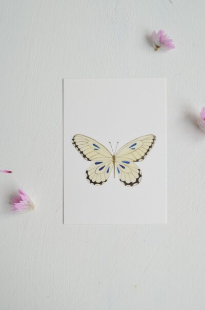 minikaartje met aquarel vlinder witte vlinder met blauwe accenten