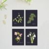 botanische minikaartjes kerst