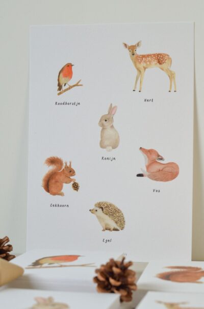 bosdieren poster staand met hertje, roodborstje, konijn, egel, eekhoorn, vos en egeltje