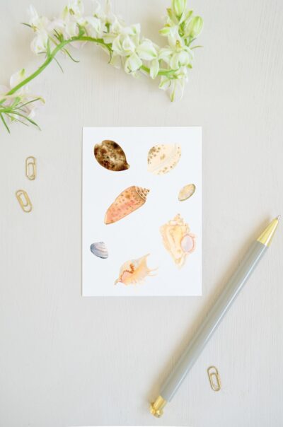 blanco zomerse ansichtkaart met schelpjes in zachte natuurlijke kleuren, geschilderd met aquarel