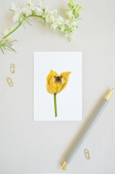 blanco ansichtkaart met veldmuisje in gele tulp, geschilderd met aquarel