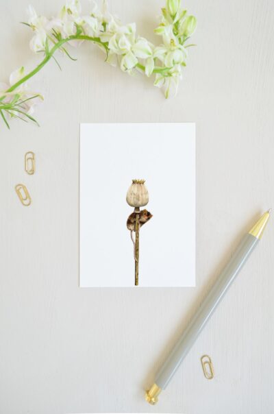 ansichtkaart met veldmuisje in papaver stengel, geschilderd met aquarel